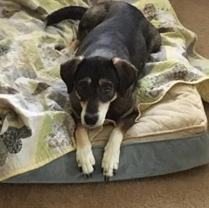 Meet your Posher, Cristen